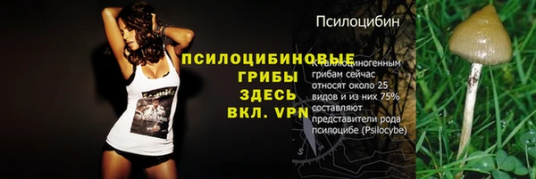 сатива Балахна