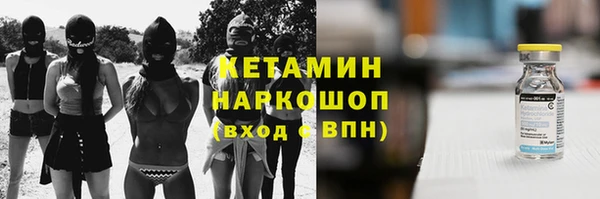 сатива Балахна