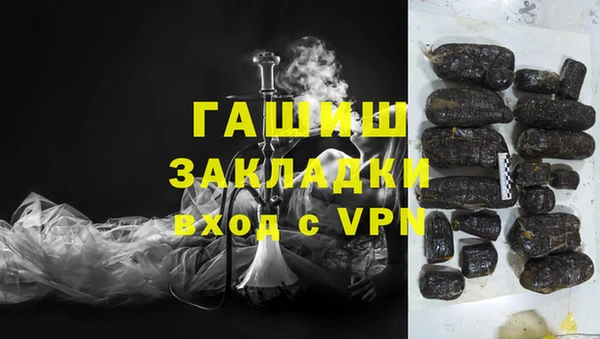 сатива Балахна